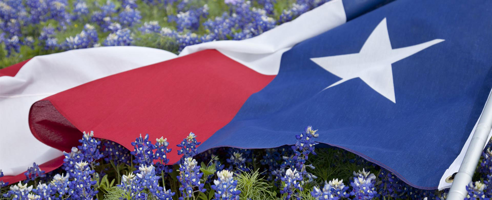 Endodontic Office in Abilene